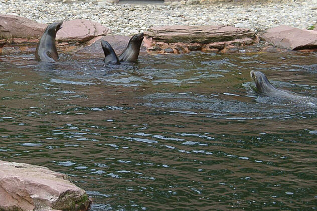 Leiblein Wasserreinigung in einem Zoo